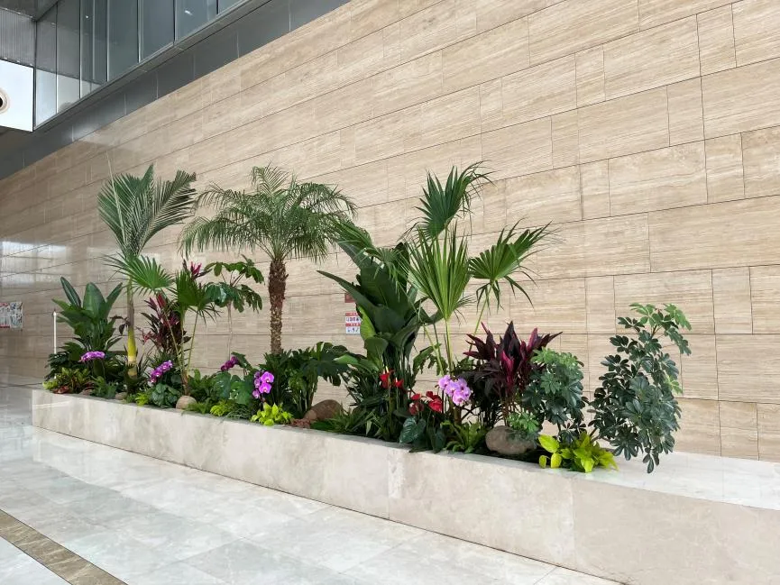 宁波前湾绿植租摆